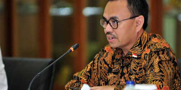 Dirjen Minerba Pensiun, Kementerian ESDM Akan Tunjuk Plt