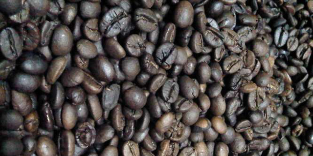 Ekspor Kopi Robusta di Lampung Melonjak