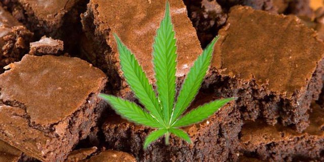 Kini beredar brownies campuran ganja (ilustrasi).