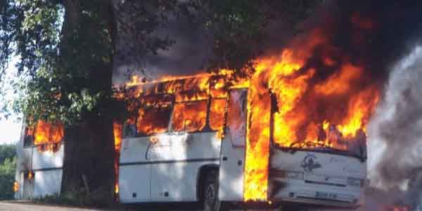 Tabrakan Dua Bus hingga Terbakar, 4 Orang Tewas