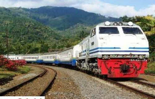Pemerintah Akan Bangun Kereta Api di Papua