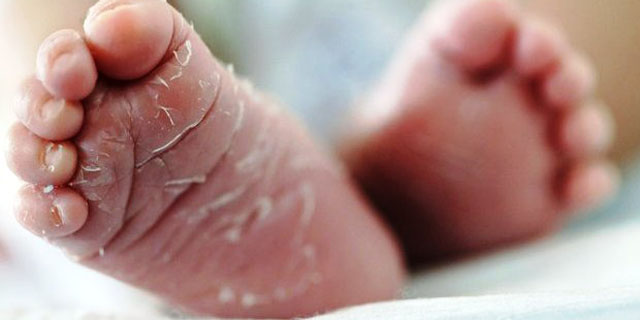 Mayat Bayi Kembar Ditemukan Petani Di Irigasi Persawahan