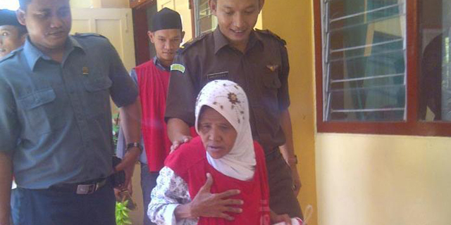nenekpencurikayu