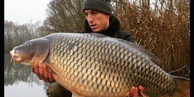 Wow, Gelandang West Ham Berhasil Tangkap Ikan Emas Raksasa 50 Kg