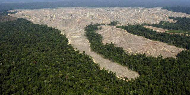 Presiden Jokowi Perpanjang Moratorium Izin Hutan