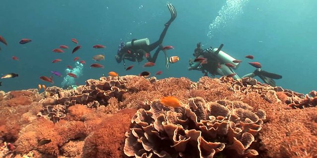 Dua Film Pendek Indonesia Juarai Festival Film Di Bulgaria
