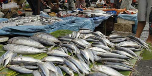 Sudah 3 Pekan Tragedi AirAsia, Ikan Laut di Palembang Tak Laku