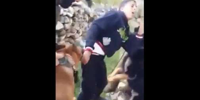 VIDEO: Tentara Israel Ganggu Remaja Palestina dengan Anjing