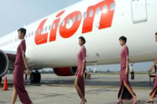 lionair2