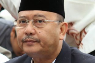 dzulmieldin